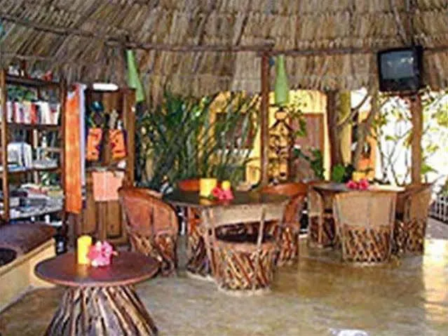 La Rana Cansada Playa del Carmen